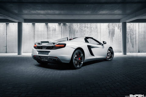 2C Spider White Back