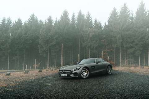 GTS1